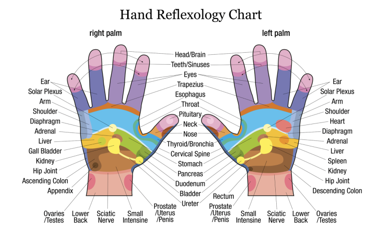 Reflex zones of the hands — hand reflexology chart