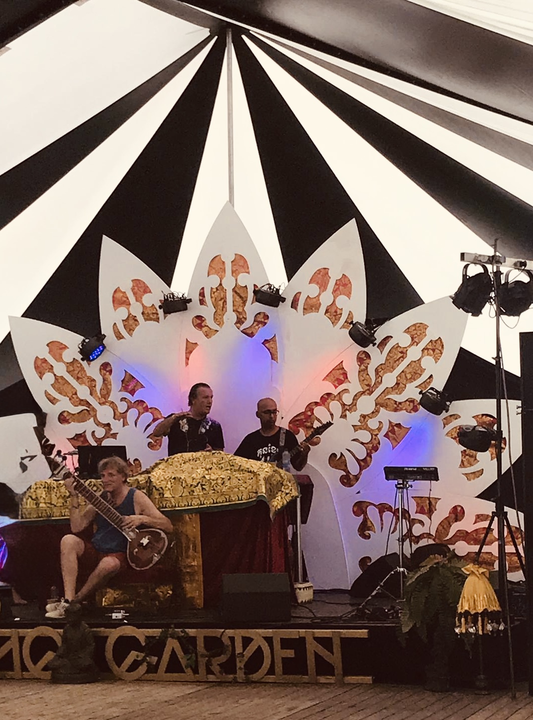 Performing with the band on a festival stage